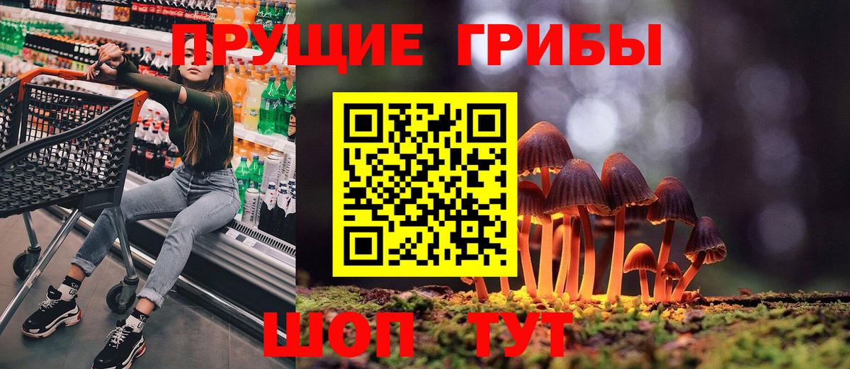 Дедовск  Псилоцибиновые грибы MAGIC MUSHROOMS  Вход с VPN 