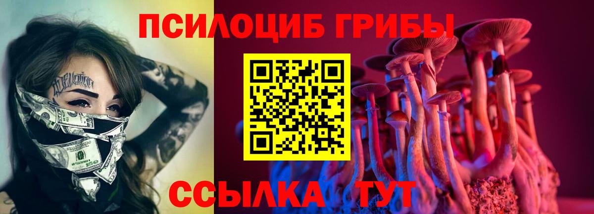 Псилоцибиновые грибы Psilocybine cubensis Дедовск
